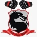 Logótipo da VH Team Fighters: escudo com um dragão e um par de luvas