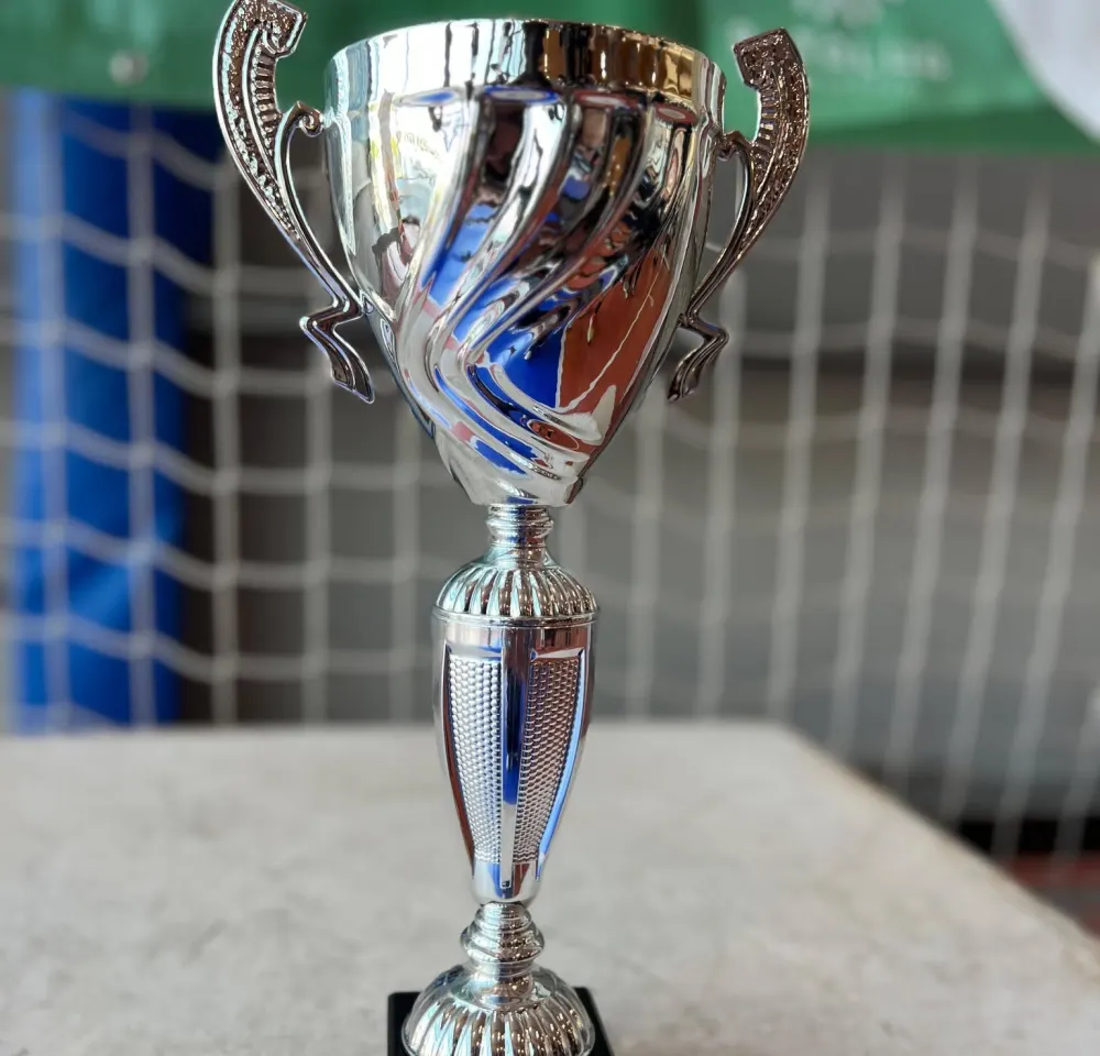 Taça de campeões por equipas no Low Kick, Campeonato Regional Centro de 2026